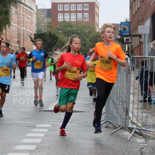 13.09.2026 - Kiel Lauf Markus Tischler http://msf.ph/oto/10448451 13.09.2026 08:52:48 Fleethörn 8819, 1, 39, 2985, 5342, 4, 28, 8541, 410, 38, 12397 meine-sportfotos.de