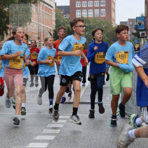 13.09.2026 - Kiel Lauf Markus Tischler http://msf.ph/oto/10448538 13.09.2026 08:53:13 Fleethörn 193, 1529, 5586, 2016, 83, 86, 38, 7341, 38, 12828, 4, 38, 1823, 522, 894, 15 meine-sportfotos.de