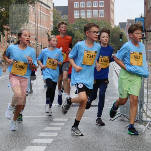 13.09.2026 - Kiel Lauf Markus Tischler http://msf.ph/oto/10448540 13.09.2026 08:53:13 Fleethörn 93, 1529, 5586, 833, 38, 7341, 12828, 1823 meine-sportfotos.de