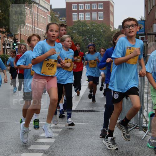 13.09.2026 - Kiel Lauf Markus Tischler http://msf.ph/oto/10448541 13.09.2026 08:53:13 Fleethörn 1529, 39, 5586, 3234, 7, 38, 1823 meine-sportfotos.de