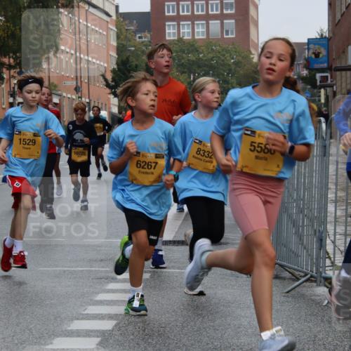 13.09.2026 - Kiel Lauf Markus Tischler http://msf.ph/oto/10448543 13.09.2026 08:53:14 Fleethörn 1, 39, 4, 193, 38, 1529, 10726, 6267, 8332, 5580, 38, 12828 meine-sportfotos.de