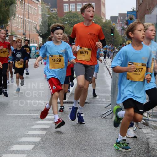 13.09.2026 - Kiel Lauf Markus Tischler http://msf.ph/oto/10448550 13.09.2026 08:53:14 Fleethörn 4, 38, 193, 2016, 10726, 1529, 14, 984, 8671, 267 meine-sportfotos.de