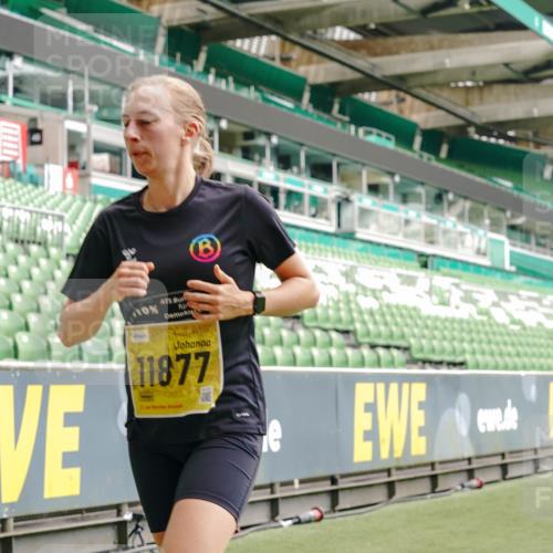 13.09.2026 - 21. swb-Marathon Bremen Michael Burmester http://msf.ph/oto/10448565 13.09.2026 10:30:22 Laufen im Stadion 10141, 10162, 10174, 10183, 10193, 10200, 10218, 10227, 10233, 10253, 10281, 10284, 10304, 10334, 10339, 10348, 10359, 10381, 10392, 10426, 10448, 10452, 10467, 10515, 10537, 10577, 10585, 10588, 10641, 10652, 10685, 10714, 10734, 10757, 10761, 10763, 10764, 10765, 10780, 10808, 10821, 10822, 10825, 10827, 10837, 10838, 10840, 10862, 10863, 10884, 10886, 10887, 10906, 10966, 10984, 11002, 11038, 11109, 11350, 11379 meine-sportfotos.de