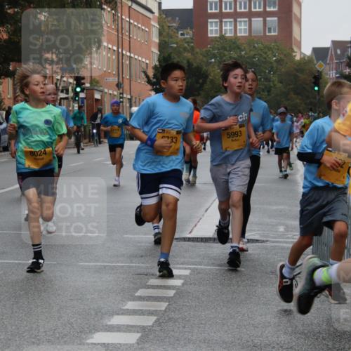 13.09.2026 - Kiel Lauf Markus Tischler http://msf.ph/oto/10448605 13.09.2026 08:53:31 Fleethörn 8024, 12111, 39, 733, 5993, 2122 meine-sportfotos.de