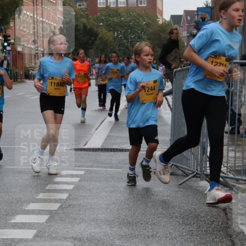 13.09.2026 - Kiel Lauf Markus Tischler http://msf.ph/oto/10448606 13.09.2026 08:53:33 Fleethörn 198, 880, 2829, 11840, 12112, 2324, 38, 1244, 12711 meine-sportfotos.de