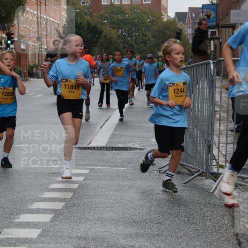 13.09.2026 - Kiel Lauf Markus Tischler http://msf.ph/oto/10448608 13.09.2026 08:53:33 Fleethörn 9880, 12829, 35, 11840, 2324, 1, 38, 1244, 12711 meine-sportfotos.de