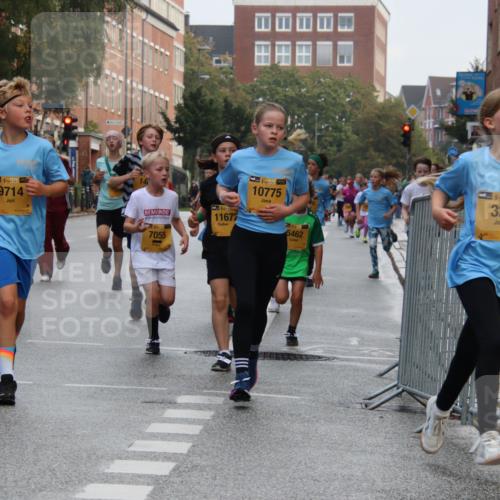 13.09.2026 - Kiel Lauf Markus Tischler http://msf.ph/oto/10448649 13.09.2026 08:53:47 Fleethörn 1, 38, 9714, 7055, 11672, 10775, 5462, 1, 38, 329 meine-sportfotos.de