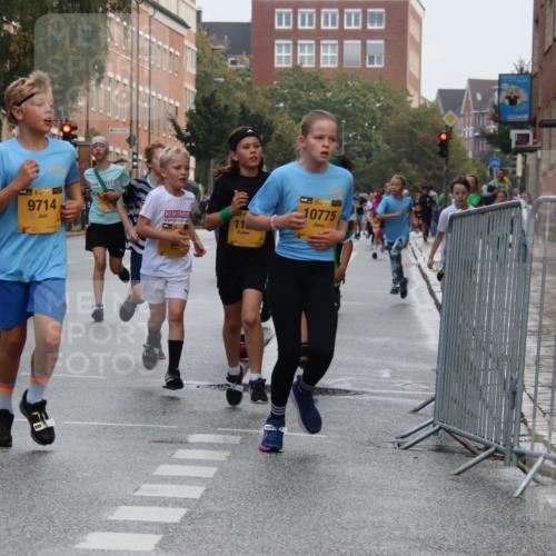 13.09.2026 - Kiel Lauf Markus Tischler http://msf.ph/oto/10448650 13.09.2026 08:53:47 Fleethörn 11850, 38, 9714, 11, 138, 10775 meine-sportfotos.de