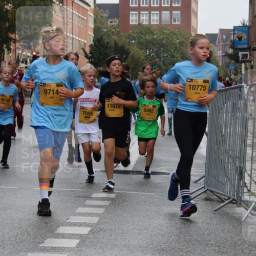 13.09.2026 - Kiel Lauf Markus Tischler http://msf.ph/oto/10448655 13.09.2026 08:53:48 Fleethörn 611, 6134, 1, 387, 9714, 1, 39, 7055, 11672, 5462, 38, 10775 meine-sportfotos.de