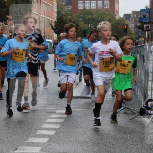 13.09.2026 - Kiel Lauf Markus Tischler http://msf.ph/oto/10448661 13.09.2026 08:53:49 Fleethörn 611, 471, 6134, 488, 38, 7055, 38, 5462, 26 meine-sportfotos.de