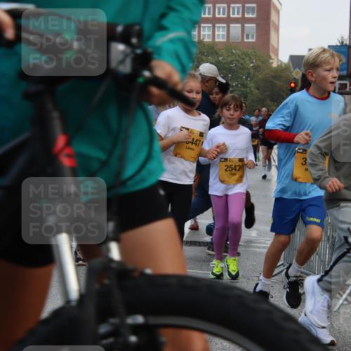 13.09.2026 - Kiel Lauf Markus Tischler http://msf.ph/oto/10448720 13.09.2026 08:54:06 Fleethörn 38, 447, 2542, 3, 38, 5693 meine-sportfotos.de