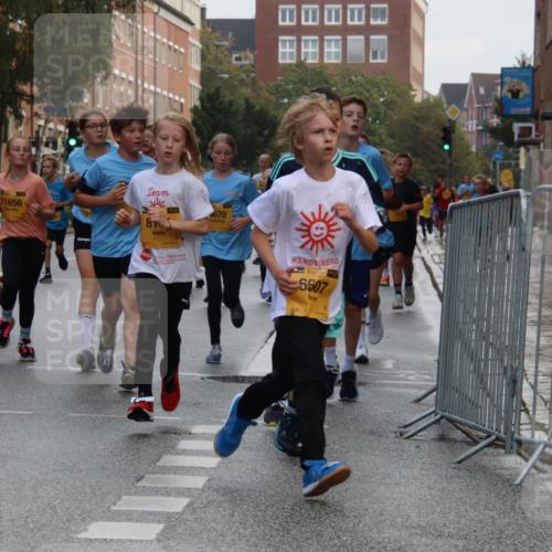 13.09.2026 - Kiel Lauf Markus Tischler http://msf.ph/oto/10448736 13.09.2026 08:54:14 Fleethörn 11470, 11656, 6737, 19, 0670, 1538, 5607 meine-sportfotos.de