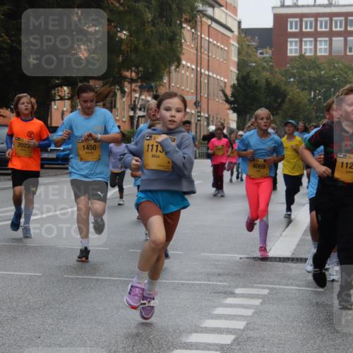 13.09.2026 - Kiel Lauf Markus Tischler http://msf.ph/oto/10448786 13.09.2026 08:54:30 Fleethörn 51, 2023, 2026, 613, 1450, 1113, 10822, 39, 11235, 4069, 6268 meine-sportfotos.de