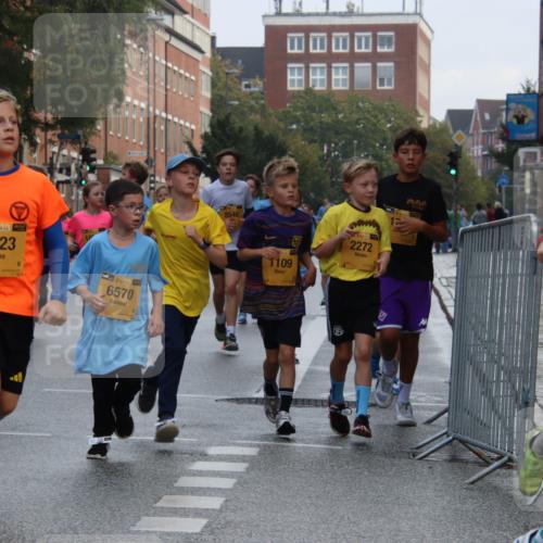13.09.2026 - Kiel Lauf Markus Tischler http://msf.ph/oto/10448802 13.09.2026 08:54:34 Fleethörn 39, 2023, 11, 38, 6570, 8546, 1109, 2272, 385, 7877 meine-sportfotos.de