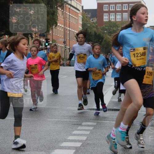13.09.2026 - Kiel Lauf Markus Tischler http://msf.ph/oto/10448806 13.09.2026 08:54:37 Fleethörn 3, 11573, 1, 35, 10822, 8546, 11071, 1, 39, 12349, 109, 38, 2272 meine-sportfotos.de
