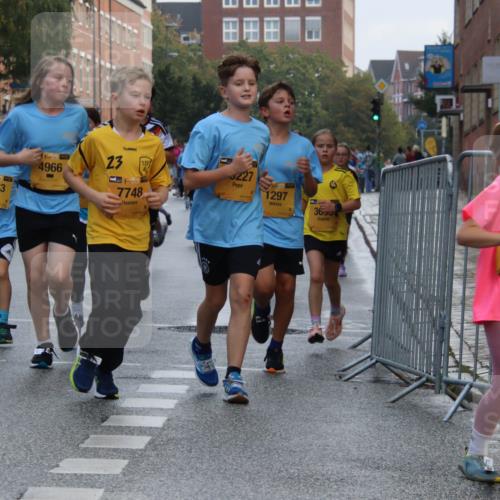 13.09.2026 - Kiel Lauf Markus Tischler http://msf.ph/oto/10448827 13.09.2026 08:54:42 Fleethörn 934, 394, 3863, 138, 4966, 23, 38, 7748, 227, 1297, 3655 meine-sportfotos.de
