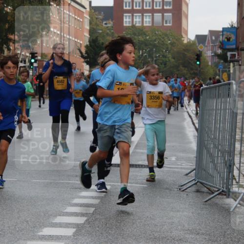 13.09.2026 - Kiel Lauf Markus Tischler http://msf.ph/oto/10448845 13.09.2026 08:54:49 Fleethörn 611, 4682, 11439, 8027, 39, 10, 3356 meine-sportfotos.de