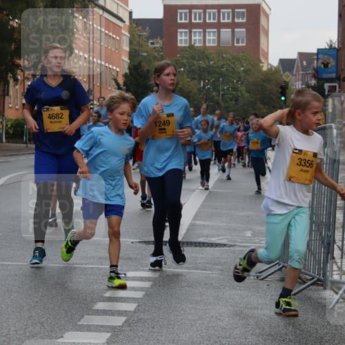 13.09.2026 - Kiel Lauf Markus Tischler http://msf.ph/oto/10448851 13.09.2026 08:54:51 Fleethörn 139, 4682, 39, 1249, 12198, 3356 meine-sportfotos.de