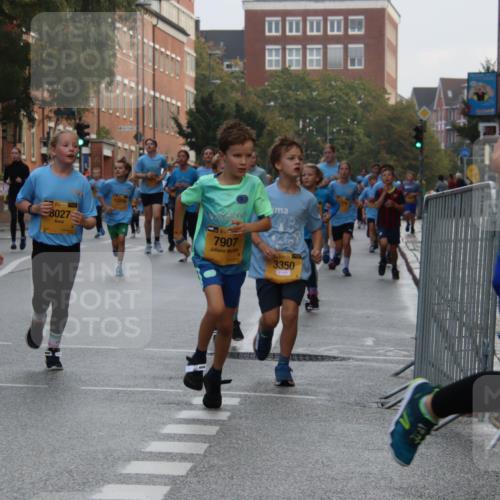 13.09.2026 - Kiel Lauf Markus Tischler http://msf.ph/oto/10448858 13.09.2026 08:54:53 Fleethörn 1938, 11439, 39, 8027, 12219, 7907, 3350 meine-sportfotos.de