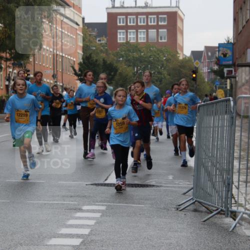 13.09.2026 - Kiel Lauf Markus Tischler http://msf.ph/oto/10448867 13.09.2026 08:54:58 Fleethörn 611, 12219, 5289, 7207, 5259, 11376 meine-sportfotos.de