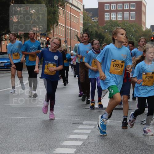 13.09.2026 - Kiel Lauf Markus Tischler http://msf.ph/oto/10448876 13.09.2026 08:55:00 Fleethörn 613, 7852, 5297, 38, 12219, 38, 5259 meine-sportfotos.de