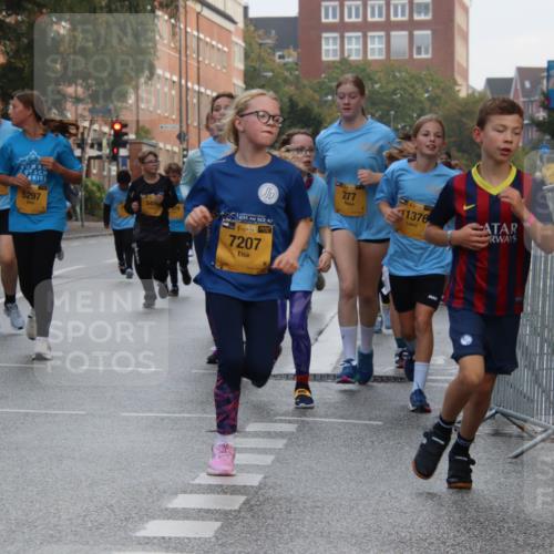 13.09.2026 - Kiel Lauf Markus Tischler http://msf.ph/oto/10448879 13.09.2026 08:55:01 Fleethörn 611, 703, 5297, 925, 340, 394, 7207, 277, 1, 39, 1376 meine-sportfotos.de