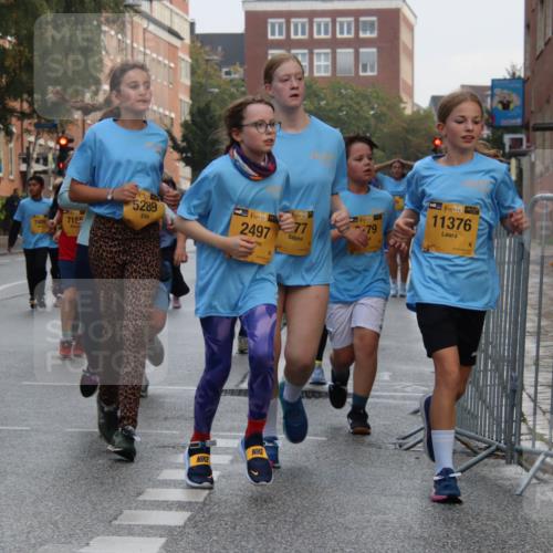 13.09.2026 - Kiel Lauf Markus Tischler http://msf.ph/oto/10448889 13.09.2026 08:55:03 Fleethörn 5297, 74894, 7155, 5289, 2497, 10, 38, 77, 79, 38, 11376 meine-sportfotos.de