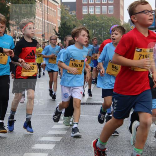 13.09.2026 - Kiel Lauf Markus Tischler http://msf.ph/oto/10448905 13.09.2026 08:55:08 Fleethörn 547, 7929, 02, 11995, 4545, 38, 10818, 645, 7155, 38, 12138 meine-sportfotos.de