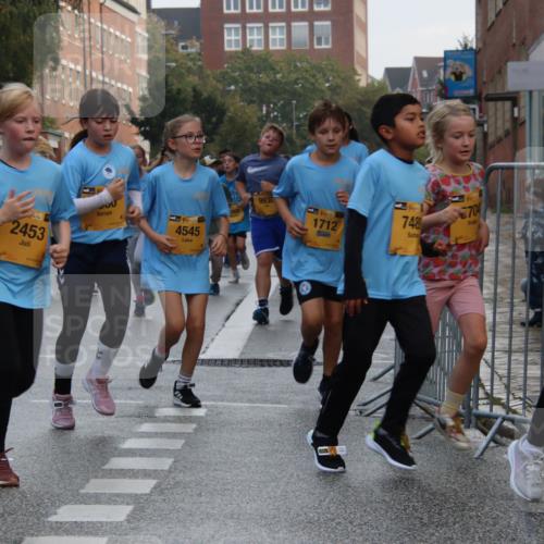 13.09.2026 - Kiel Lauf Markus Tischler http://msf.ph/oto/10448915 13.09.2026 08:55:11 Fleethörn 38, 2453, 4545, 9930, 11, 39, 1712, 748, 704, 12712 meine-sportfotos.de