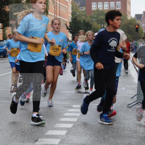 13.09.2026 - Kiel Lauf Markus Tischler http://msf.ph/oto/10448948 13.09.2026 08:55:22 Fleethörn 545, 38, 1160, 1, 39, 5547, 2, 139, 1150 meine-sportfotos.de