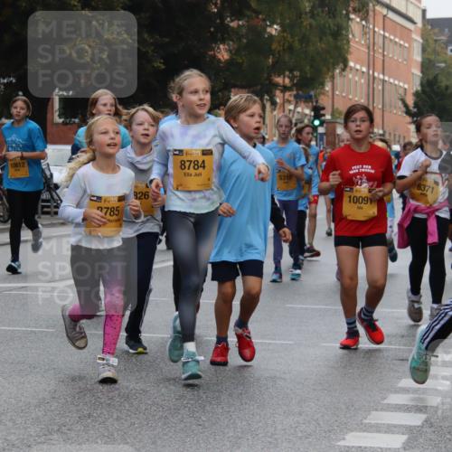 13.09.2026 - Kiel Lauf Markus Tischler http://msf.ph/oto/10449000 13.09.2026 08:55:41 Fleethörn 10612, 38, 3785, 39, 826, 4, 38, 8784, 5315, 1000, 10091, 6371, 292 meine-sportfotos.de