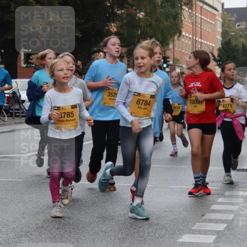 13.09.2026 - Kiel Lauf Markus Tischler http://msf.ph/oto/10449005 13.09.2026 08:55:42 Fleethörn 10612, 4, 38, 581, 11, 38, 38, 785, 3520, 1000, 38, 8784, 1009, 6371, 2032 meine-sportfotos.de