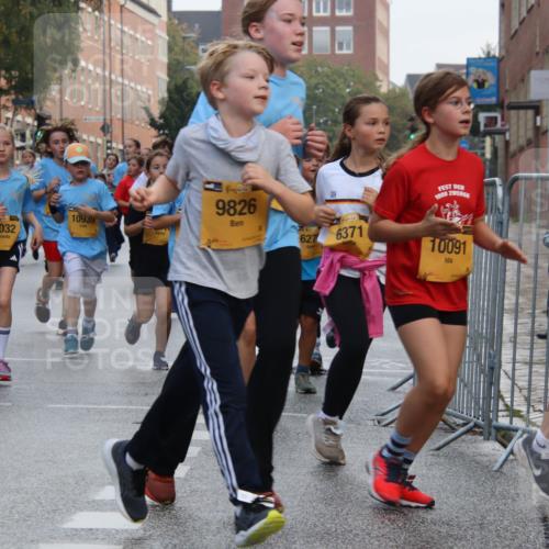 13.09.2026 - Kiel Lauf Markus Tischler http://msf.ph/oto/10449009 13.09.2026 08:55:44 Fleethörn 5315, 59, 12032, 10939, 9826, 627, 6371, 1000, 10091, 14 meine-sportfotos.de