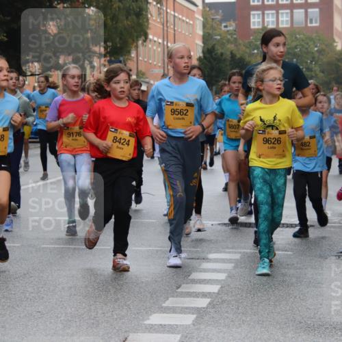 13.09.2026 - Kiel Lauf Markus Tischler http://msf.ph/oto/10449034 13.09.2026 08:55:51 Fleethörn 38, 2478, 8094, 9176, 139, 8424, 38, 9562, 6807, 38, 9626, 482, 8056 meine-sportfotos.de