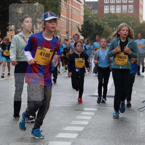 13.09.2026 - Kiel Lauf Markus Tischler http://msf.ph/oto/10449046 13.09.2026 08:55:57 Fleethörn 094, 39, 9542, 3303, 38, 4188, 5, 39, 7559, 38, 10603 meine-sportfotos.de