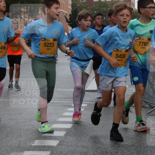 13.09.2026 - Kiel Lauf Markus Tischler http://msf.ph/oto/10449063 13.09.2026 08:56:07 Fleethörn 11495, 5809, 38, 5223, 39, 5459, 38, 7769 meine-sportfotos.de