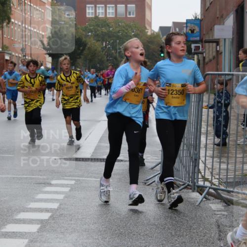 13.09.2026 - Kiel Lauf Markus Tischler http://msf.ph/oto/10449075 13.09.2026 08:56:14 Fleethörn 38, 12147, 307, 9940, 0361, 10, 38, 12350, 1, 38, 9564 meine-sportfotos.de