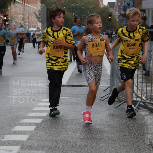13.09.2026 - Kiel Lauf Markus Tischler http://msf.ph/oto/10449087 13.09.2026 08:56:18 Fleethörn 102, 7927, 9307, 0321, 8341, 0173, 6144445, 38, 9940 meine-sportfotos.de