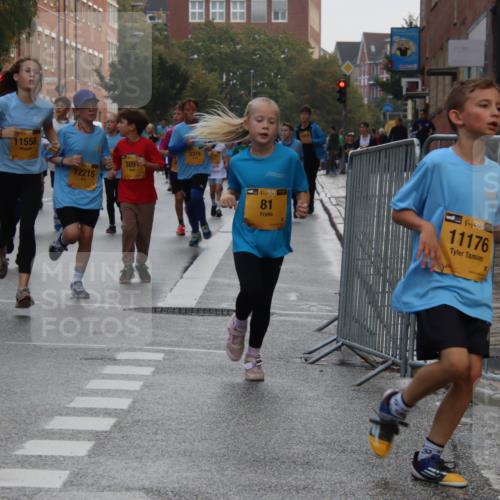13.09.2026 - Kiel Lauf Markus Tischler http://msf.ph/oto/10449102 13.09.2026 08:56:24 Fleethörn 38, 4558, 35, 11558, 12215, 389, 3375, 38, 81, 38, 11176 meine-sportfotos.de