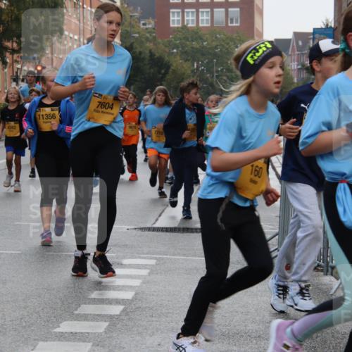 13.09.2026 - Kiel Lauf Markus Tischler http://msf.ph/oto/10449162 13.09.2026 08:56:45 Fleethörn 38, 4382, 31, 394, 11356, 7604, 9870, 7715, 160, 28 meine-sportfotos.de