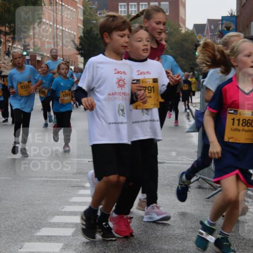 13.09.2026 - Kiel Lauf Markus Tischler http://msf.ph/oto/10449198 13.09.2026 08:56:54 Fleethörn 38, 11227, 9324, 39, 791, 1714, 39, 11860 meine-sportfotos.de