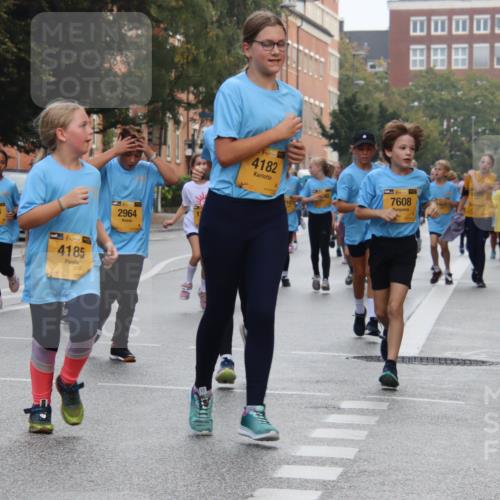 13.09.2026 - Kiel Lauf Markus Tischler http://msf.ph/oto/10449227 13.09.2026 08:57:02 Fleethörn 6984, 8354, 38, 4185, 39, 2964, 38, 4182, 40, 11077, 7608 meine-sportfotos.de
