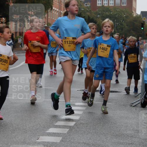 13.09.2026 - Kiel Lauf Markus Tischler http://msf.ph/oto/10449258 13.09.2026 08:57:14 Fleethörn 38, 9585, 78, 11339, 12357, 1462, 10242, 38, 9890 meine-sportfotos.de