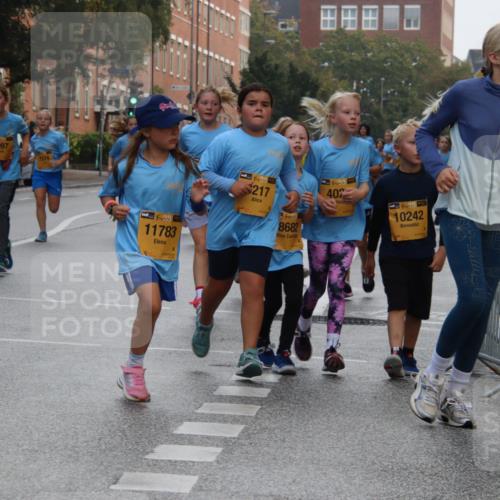 13.09.2026 - Kiel Lauf Markus Tischler http://msf.ph/oto/10449261 13.09.2026 08:57:17 Fleethörn 57, 6, 9097, 7574, 11783, 217, 8682, 38, 402, 5, 39, 10242 meine-sportfotos.de