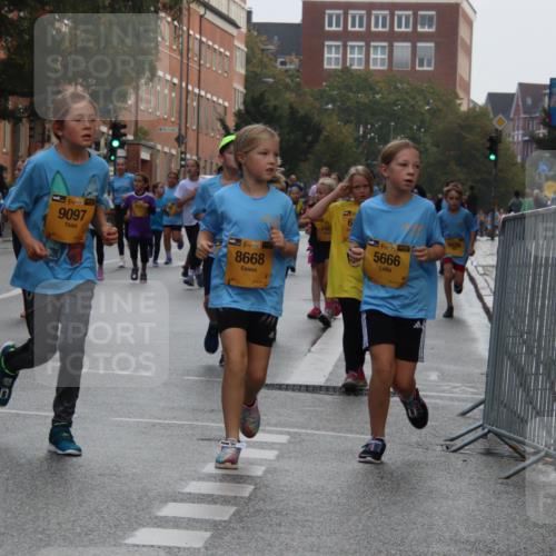 13.09.2026 - Kiel Lauf Markus Tischler http://msf.ph/oto/10449269 13.09.2026 08:57:21 Fleethörn 7576, 11, 38, 9097, 1, 38, 8668, 140, 6428, 1, 39, 5666 meine-sportfotos.de