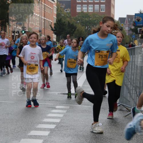 13.09.2026 - Kiel Lauf Markus Tischler http://msf.ph/oto/10449284 13.09.2026 08:57:24 Fleethörn 41, 39, 8, 31, 1, 39, 4491, 11252, 7576, 10899, 13 meine-sportfotos.de