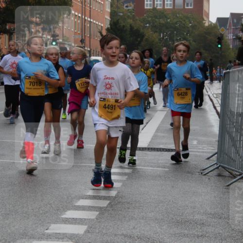 13.09.2026 - Kiel Lauf Markus Tischler http://msf.ph/oto/10449286 13.09.2026 08:57:25 Fleethörn 7018, 39, 1125, 4491, 6428 meine-sportfotos.de