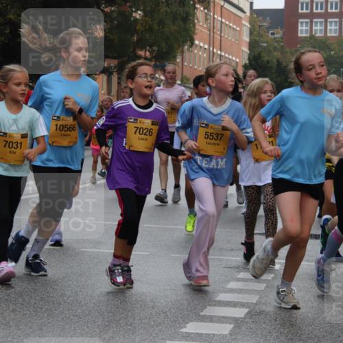 13.09.2026 - Kiel Lauf Markus Tischler http://msf.ph/oto/10449301 13.09.2026 08:57:31 Fleethörn 9490, 38, 7031, 38, 10566, 38, 7026, 4, 48, 5537 meine-sportfotos.de
