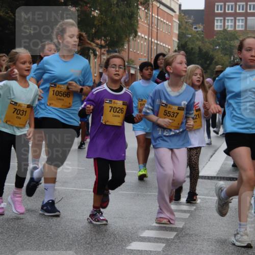 13.09.2026 - Kiel Lauf Markus Tischler http://msf.ph/oto/10449303 13.09.2026 08:57:32 Fleethörn 949, 38, 7031, 11, 39, 10566, 38, 10, 7026, 4, 387, 5537, 21 meine-sportfotos.de