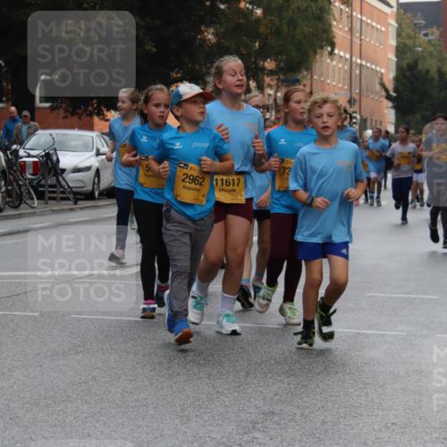 13.09.2026 - Kiel Lauf Markus Tischler http://msf.ph/oto/10449339 13.09.2026 08:58:07 Fleethörn 5, 2962, 11617, 73, 8 meine-sportfotos.de